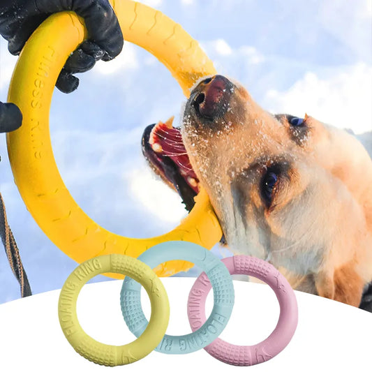 Rubber rings for dog training