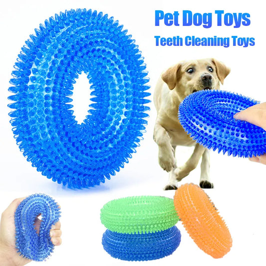 Squeaky Pet Dog Interactive Chew Toy